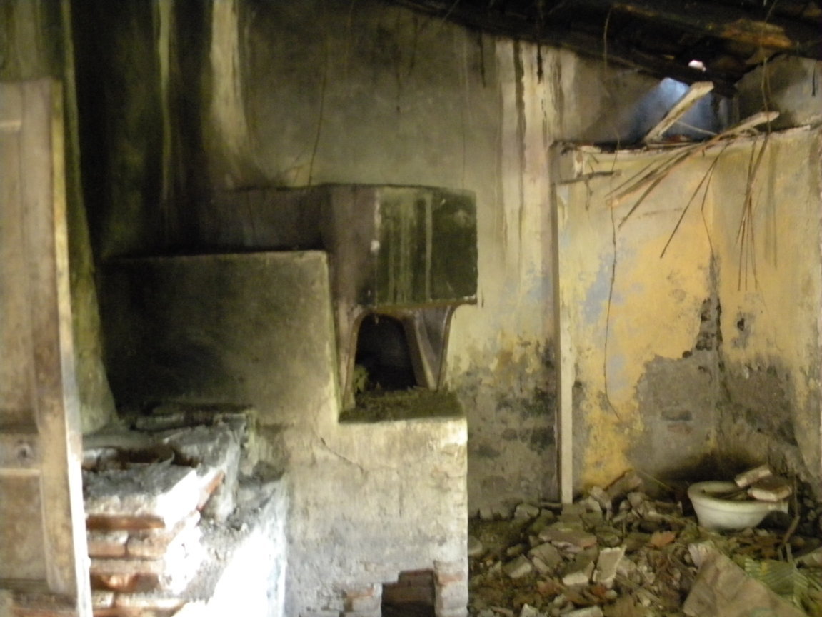 DSCN7996 .JPG